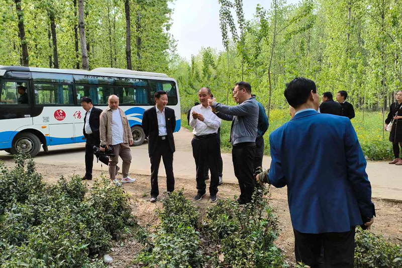 图片15.png 图片15.png