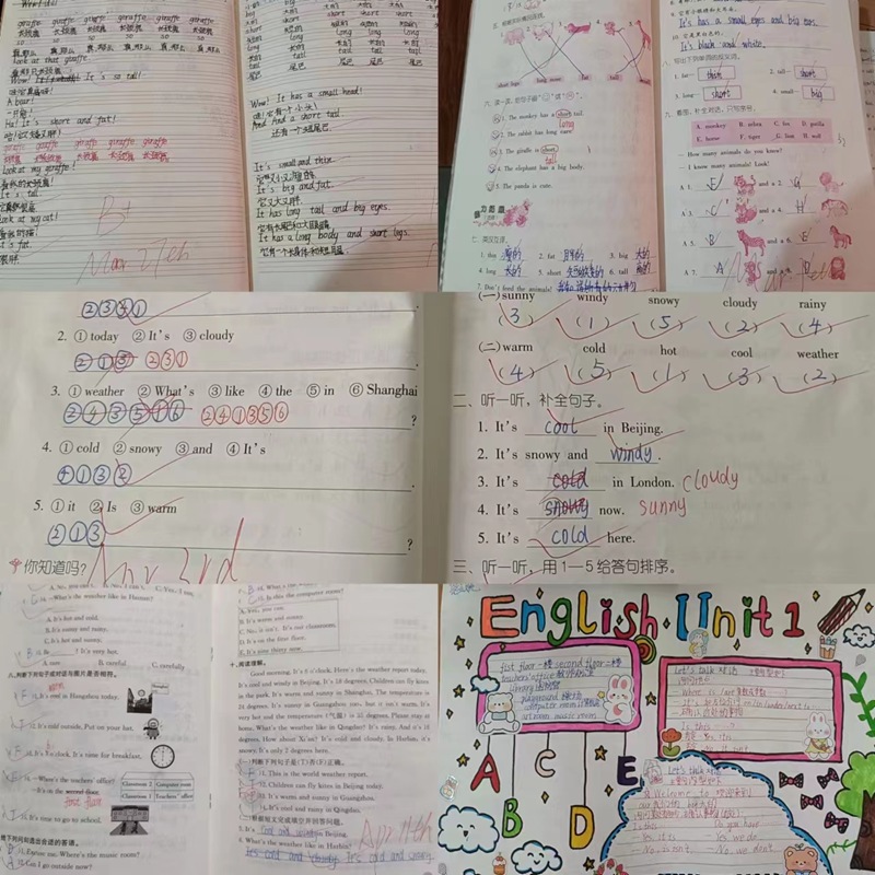 图片9.png 图片9.png