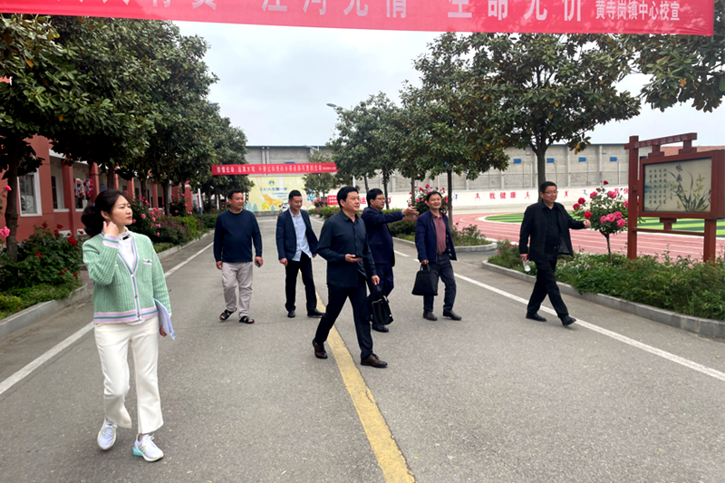 图片50.png