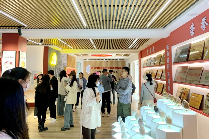 图片 1.png