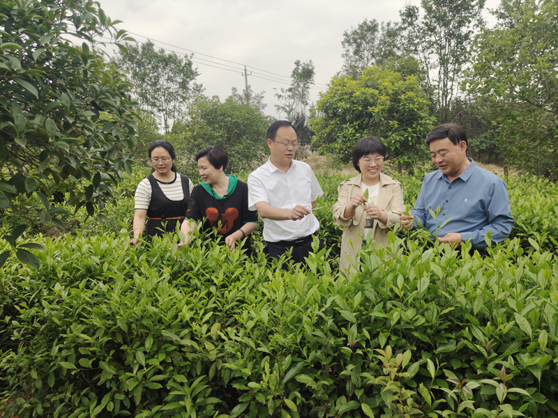 图片 1.png
