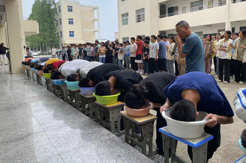 图片50.png 图片50.png