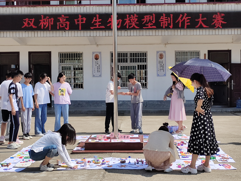 图片 1.png