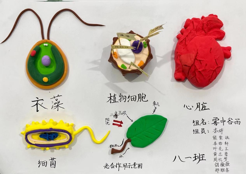 图片 5.png