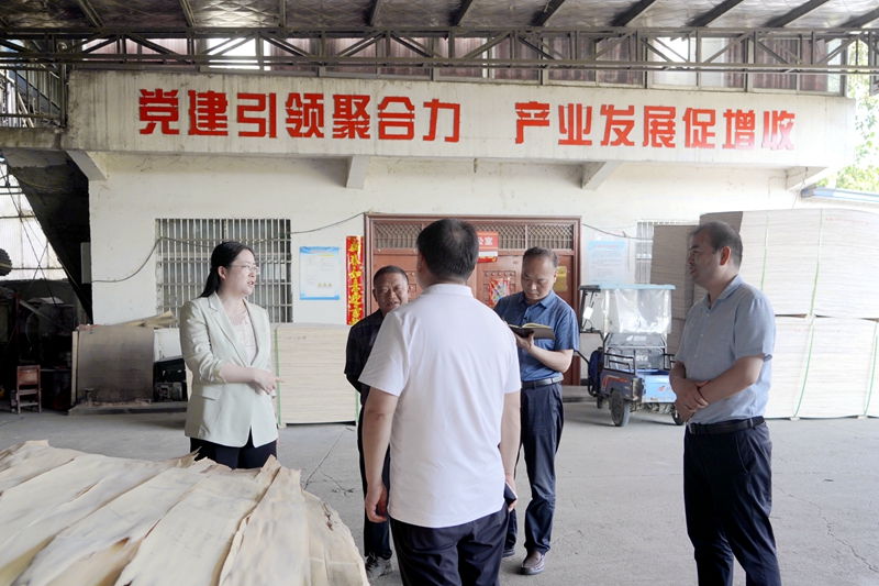 20230620邵燕走访双柳企业 天桥木业.jpg 20230620邵燕走访双柳企业 天桥木业.jpg