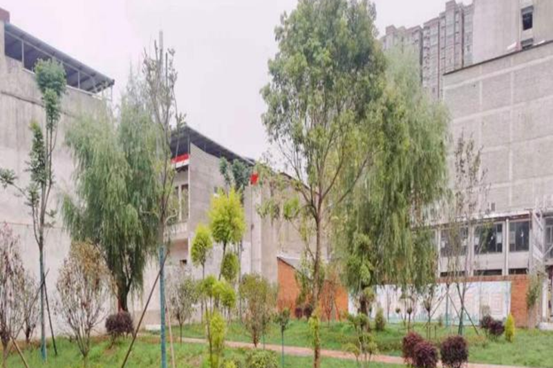 图片2.png