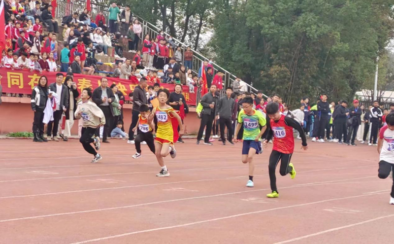 图片 3.png