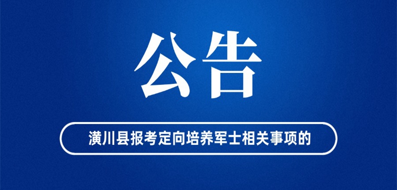 公安治安工作汇报情况通报简约政务公众号首图(1)(5).jpg