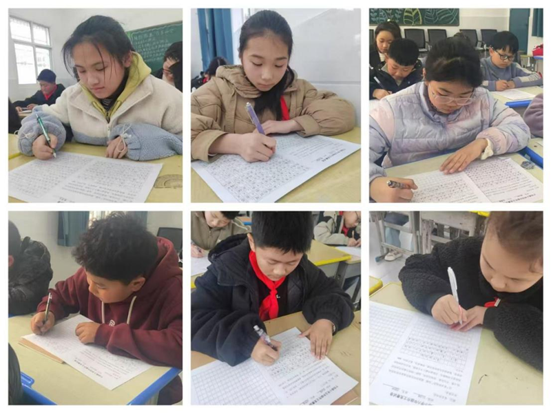 图片13.png