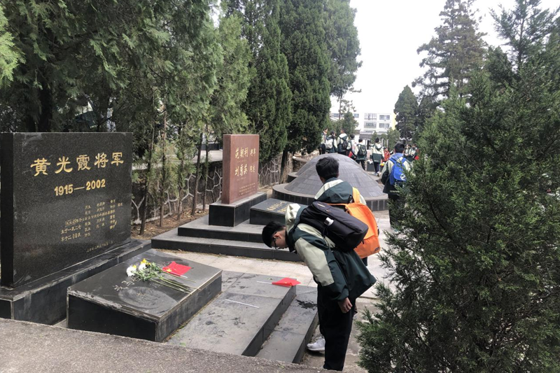 图片31.png