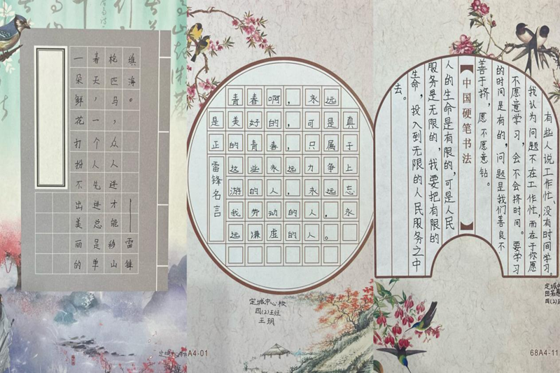 图片 8.png 图片 8.png