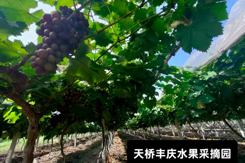 图片 2.png