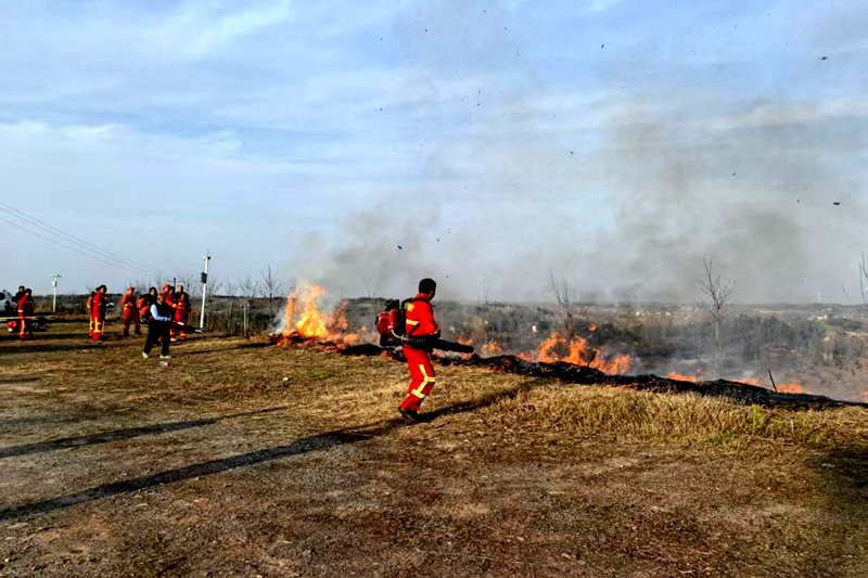 图片10.png 图片10.png