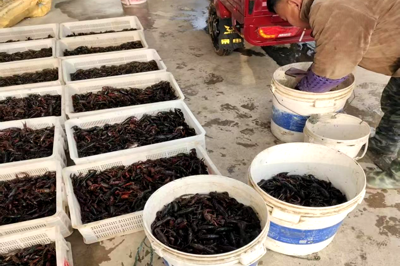 图片4.png 图片4.png